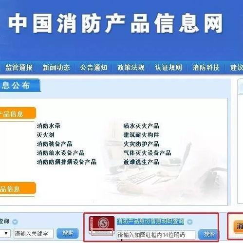 爆料网红真假辨别图片视频,图片与视频辨别攻略