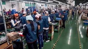 东莞电子厂丝袜,揭秘制造业的时尚元素