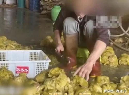 爆料汕头腌菜视频大全集,视频大全集带你领略潮汕美食魅力