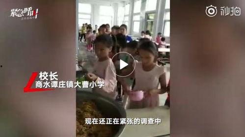 有关河南的最新爆料视频,现场实况令人震惊！