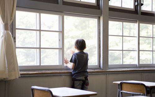 无毒无窗av,探索无毒无窗的绿色生活空间