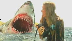 滩鲨在线播放下载,在线播放与下载，探索深海神秘之旅