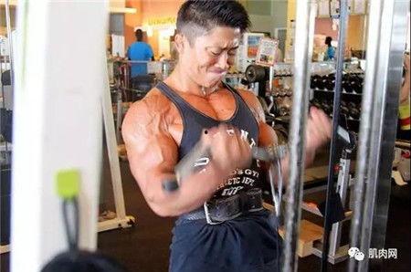 ed2k日本肌肉,ed2k平台上的力量与美学探索