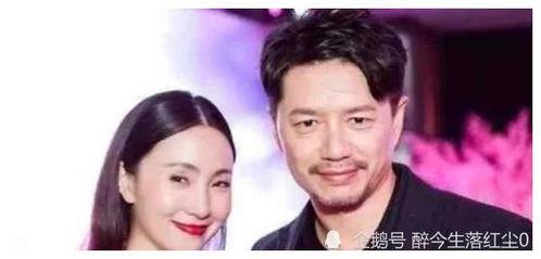娱乐圈吃瓜爆料电影有哪些